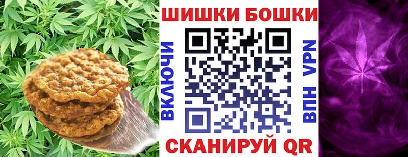 как найти закладки  Нолинск  Печенье с ТГК конопля 
