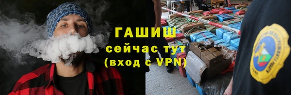 стаф Богданович