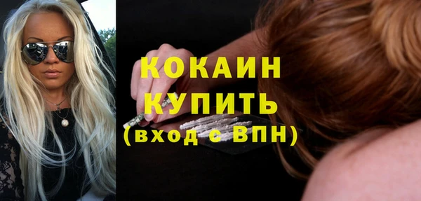 стаф Богданович