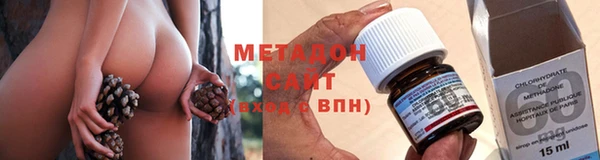 стаф Богданович