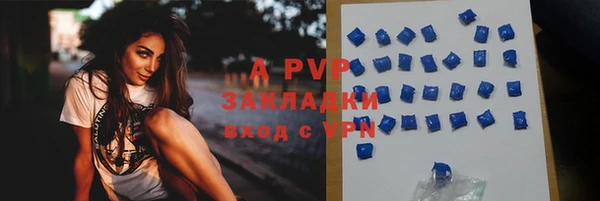 стаф Богданович