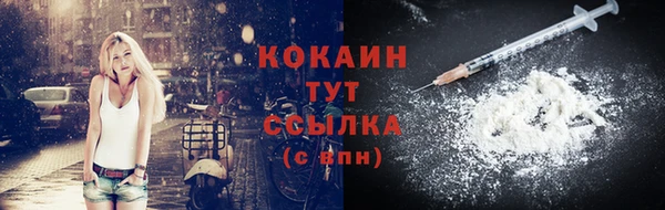 стаф Богданович