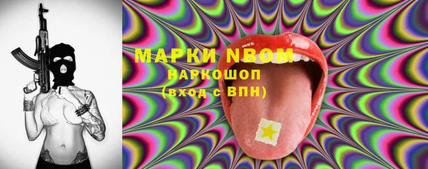 стаф Богданович