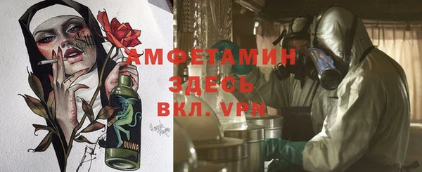 стаф Богданович