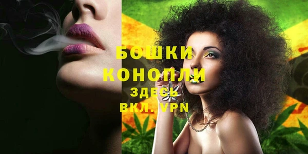 стаф Богданович